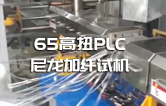 65高扭+PLC，尼龍加纖雙螺桿造粒機試機